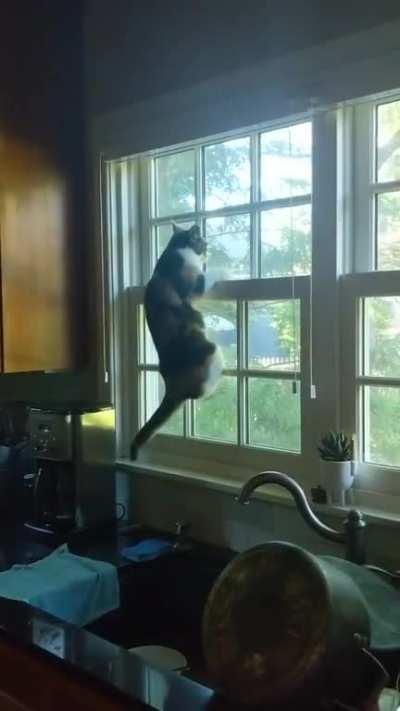 What was she thinking?