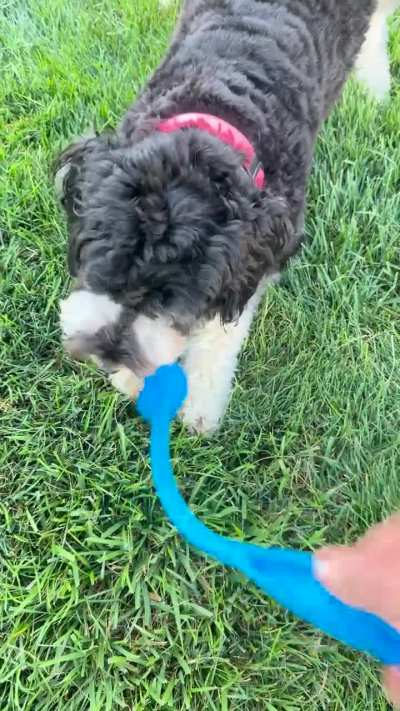 Two for me, none for you