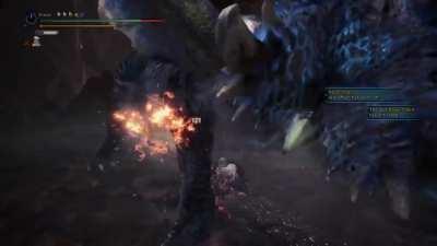 Since you love Evade Lance, another 60 second elemental breakdown against Ice Form today!