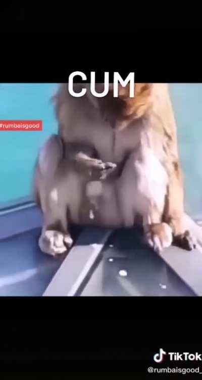 el almuerzo del admin