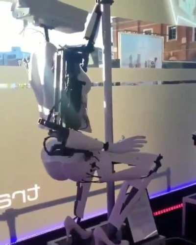 The Cyberpunk we deserve