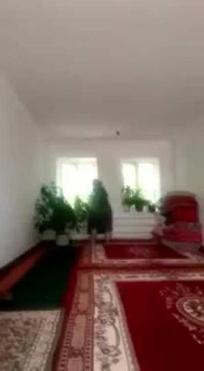 cursed_videomemes - Video #1796