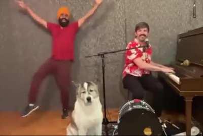 The dog is the best 😎