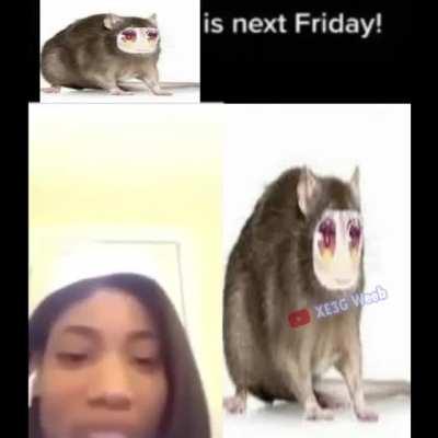 PEKORAT will be REAL!!! NEXT FRIDAY!!11!!!!1