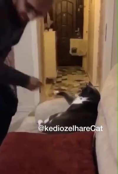 Always respect your elders