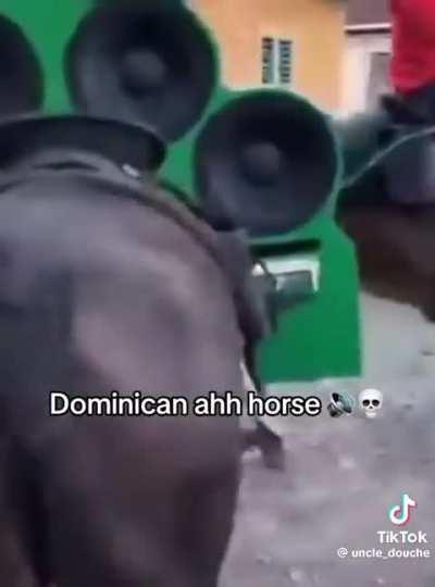 Fanum Horse 😭🇩🇴