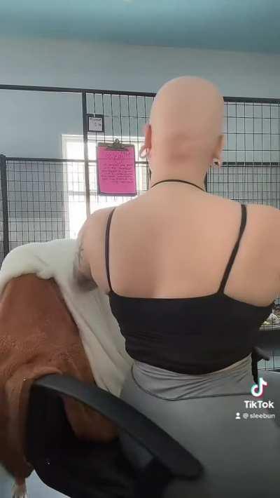 honk if you’re horny 🖤