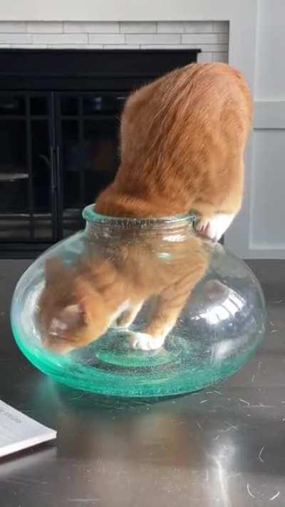 You just gotta wonder how sometimes