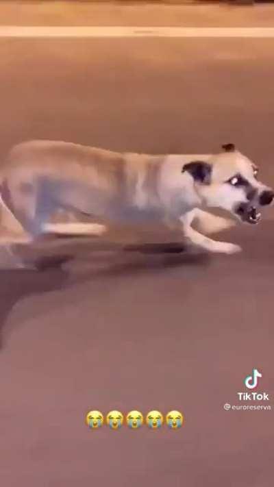 Ele não aguenta mas