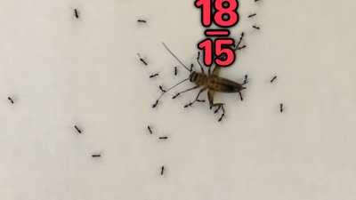 This seems kinda familiar... I just can't put my finger on it...