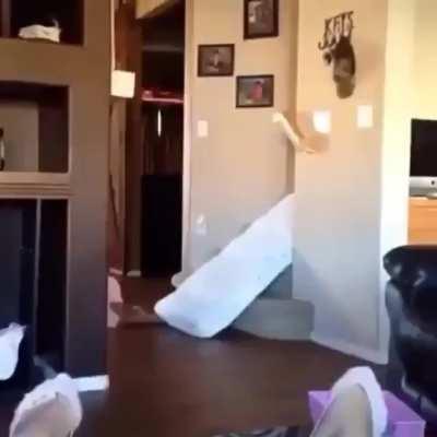 The fastest way down the stairs.