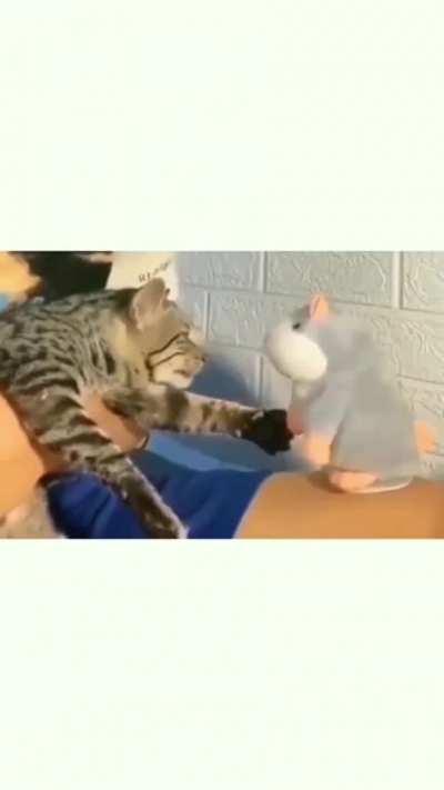 Don't talk to me like that!!