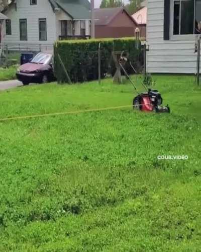 Automatic mower.