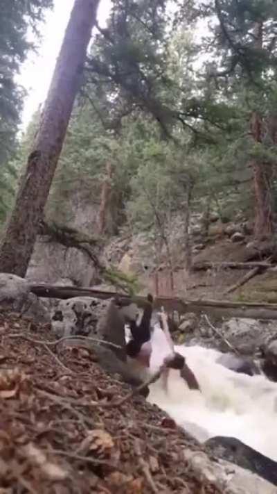 Doing a bend-back, on a log, over a river