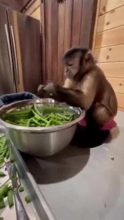 virou cozinheiro mané