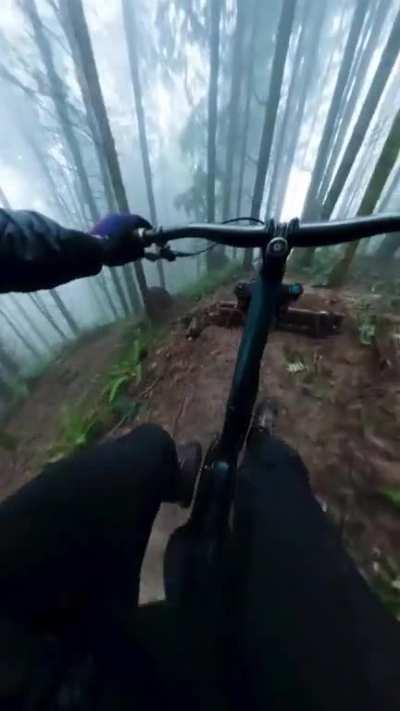 Хорошее видео перед сном