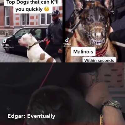 Edgar luv banana