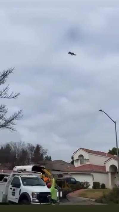 How did it survive?!