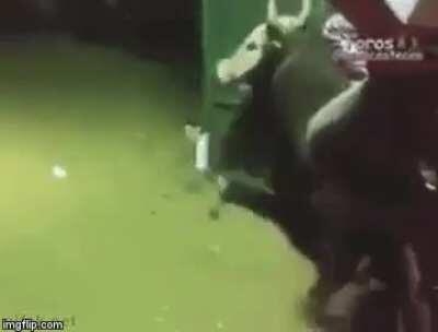 He did not see that coming