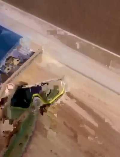 Então esse é o famoso genjutsu