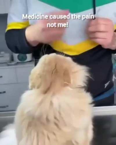 The Vet will be punished for his insolence!