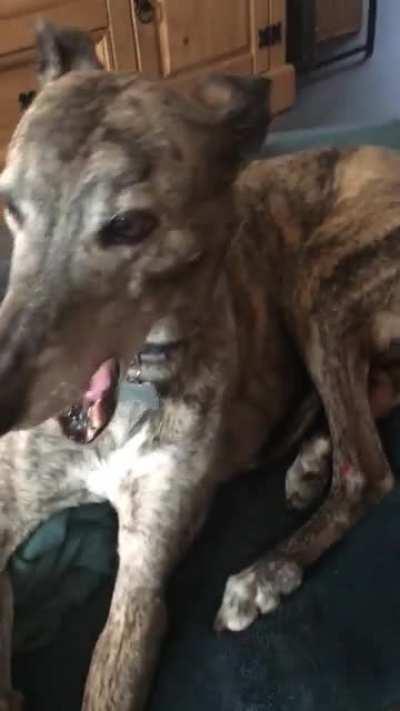 Why does my girl do this?