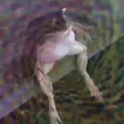 he’s straight vibin, wish I was space frog