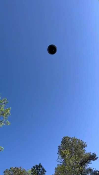 Gender reveal parties are stupid