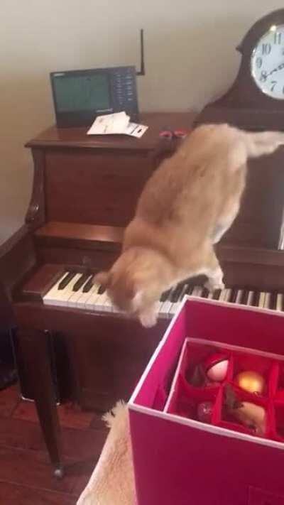 MeOwzARt cOmPoseS hIS fiNAL sYMPhOny bEFore PLungINg tO thE ABysS