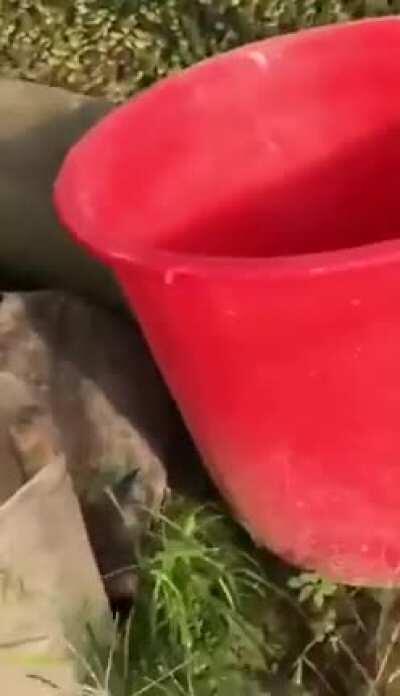 Mittwoch nach der roten Pille