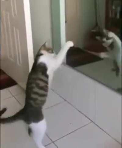 Кто-то можеть понять чего он хочет?