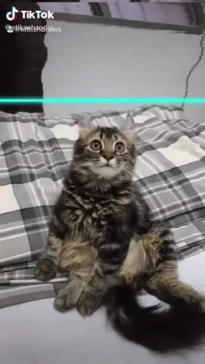 Thanks, I hate whatever the fuck this is