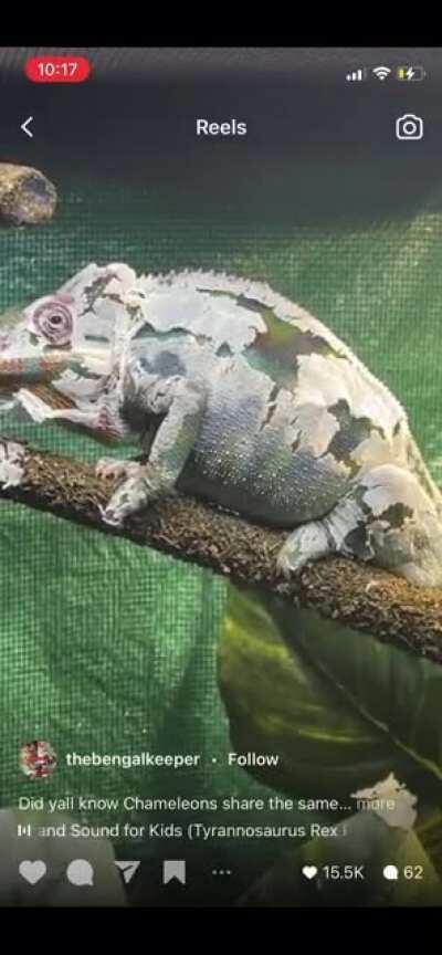 Scream my child! Scream!!! Too good not to share