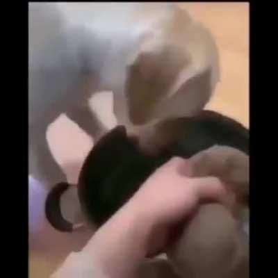 el no … tómame a mi