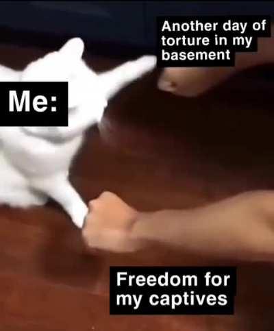 The insanity set in on day 4. I asked them why they were laughing, but they just laughed harder. 