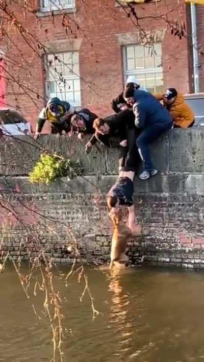 Just dudes being wholesome guys!