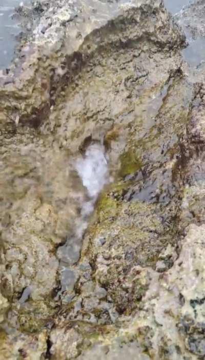 omg that malphussy can squirt 😩😩💦💦