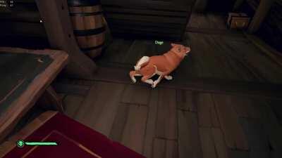 Got lucky with an ancient skeleton and bought a dog, it was over the moon