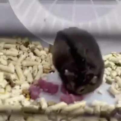 “See, kids? You just get in here and then you run run ru-“