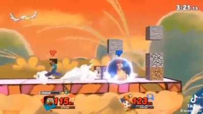 Least skilled Steve 🥶