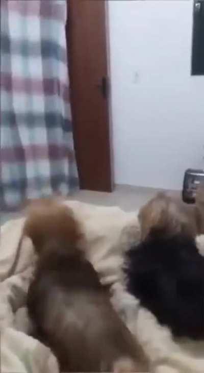 What did u do with her