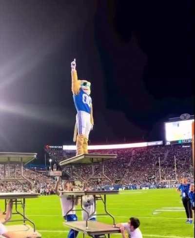 He belongs on the field