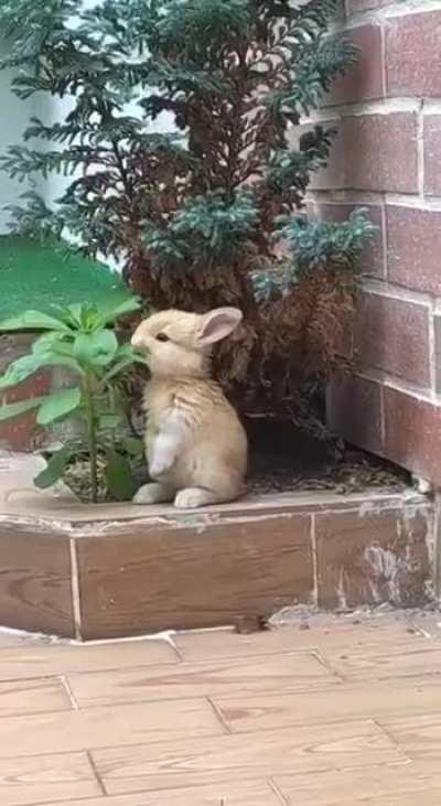 sat down to have a bite🥰