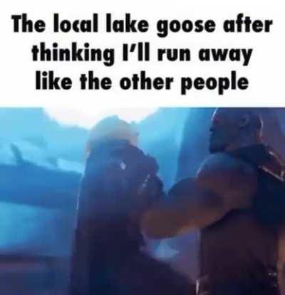 Goose