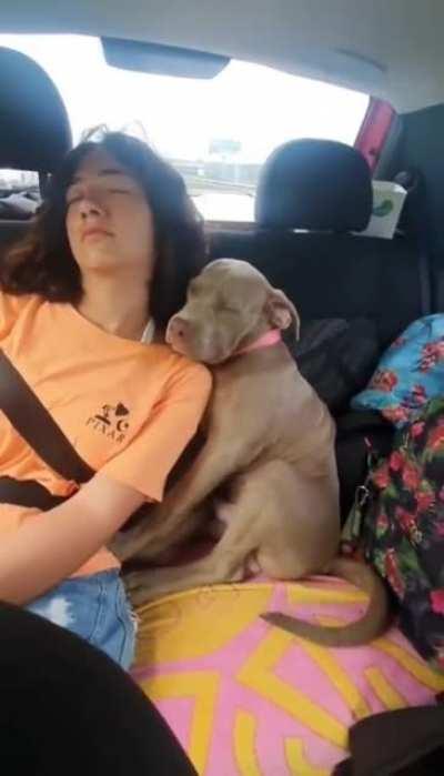 Long journeys can be tiring