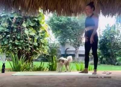 Imma leave this here