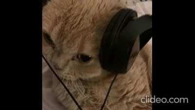 YE - EVANGELICA (Disastrous-Turn6280 & foxie8m/uhhjulian edits mashup)