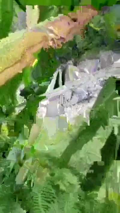 Footage of a reportedly recent ambush on Indonesian troops by the West Papua Liberation Army (TPNPB).