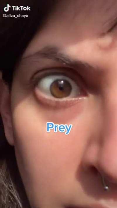 If i was a deer i'd be very intimidated now