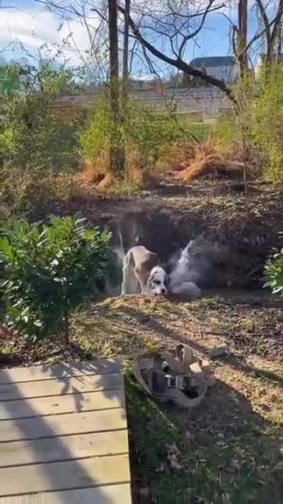 The kid wasn’t going to make it anyways!